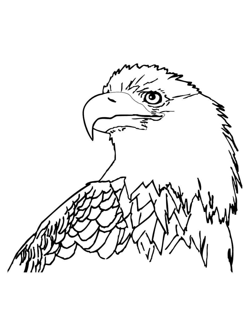 Bald Eagle 30 Coloring Page