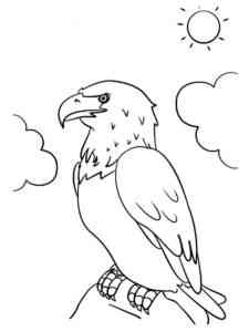 Bald Eagle 4 coloring page