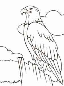 Bald Eagle 9 coloring page