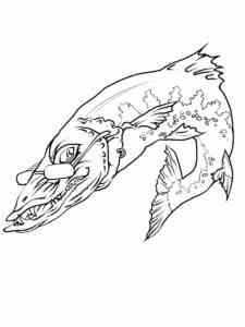 Barracuda with glasses coloring page