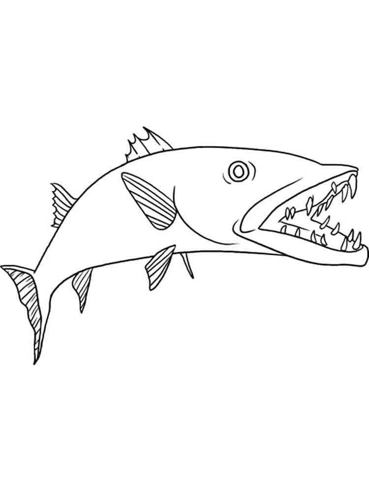 Barracuda with open mouth coloring page