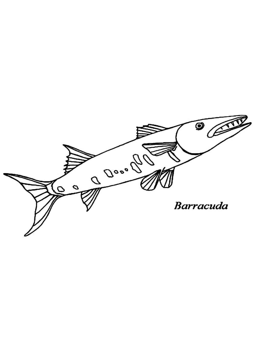 Easy Barracuda coloring page