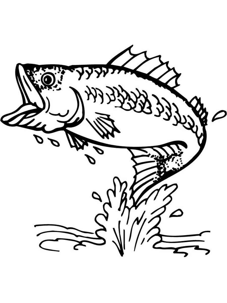 Bass Fish 1 coloring page
