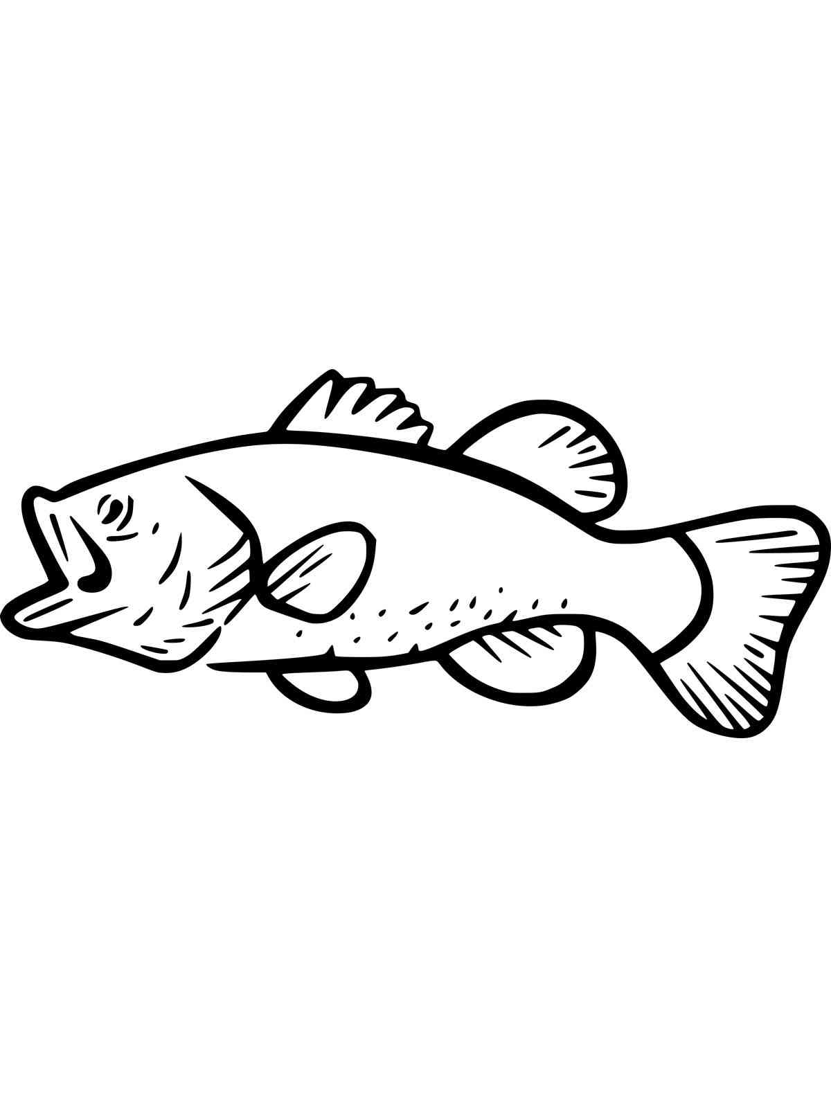 Drawn Bass Fish coloring page