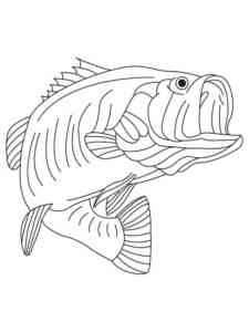 Bass Fish 4 coloring page