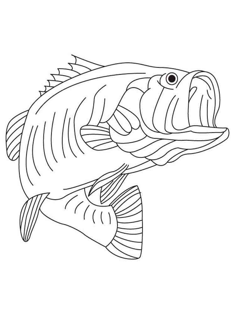 Bass Fish 4 coloring page