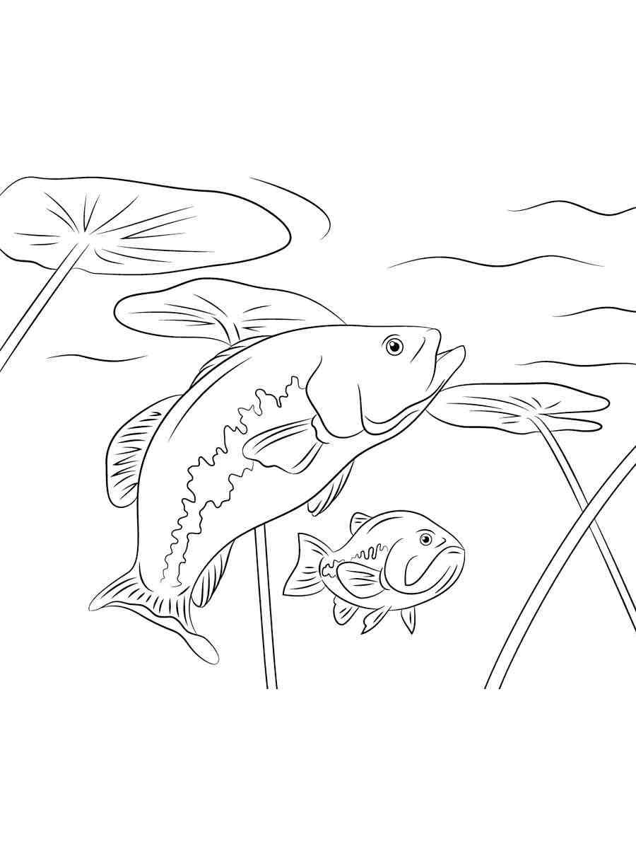 Bass Fish swim near the water lilies coloring page