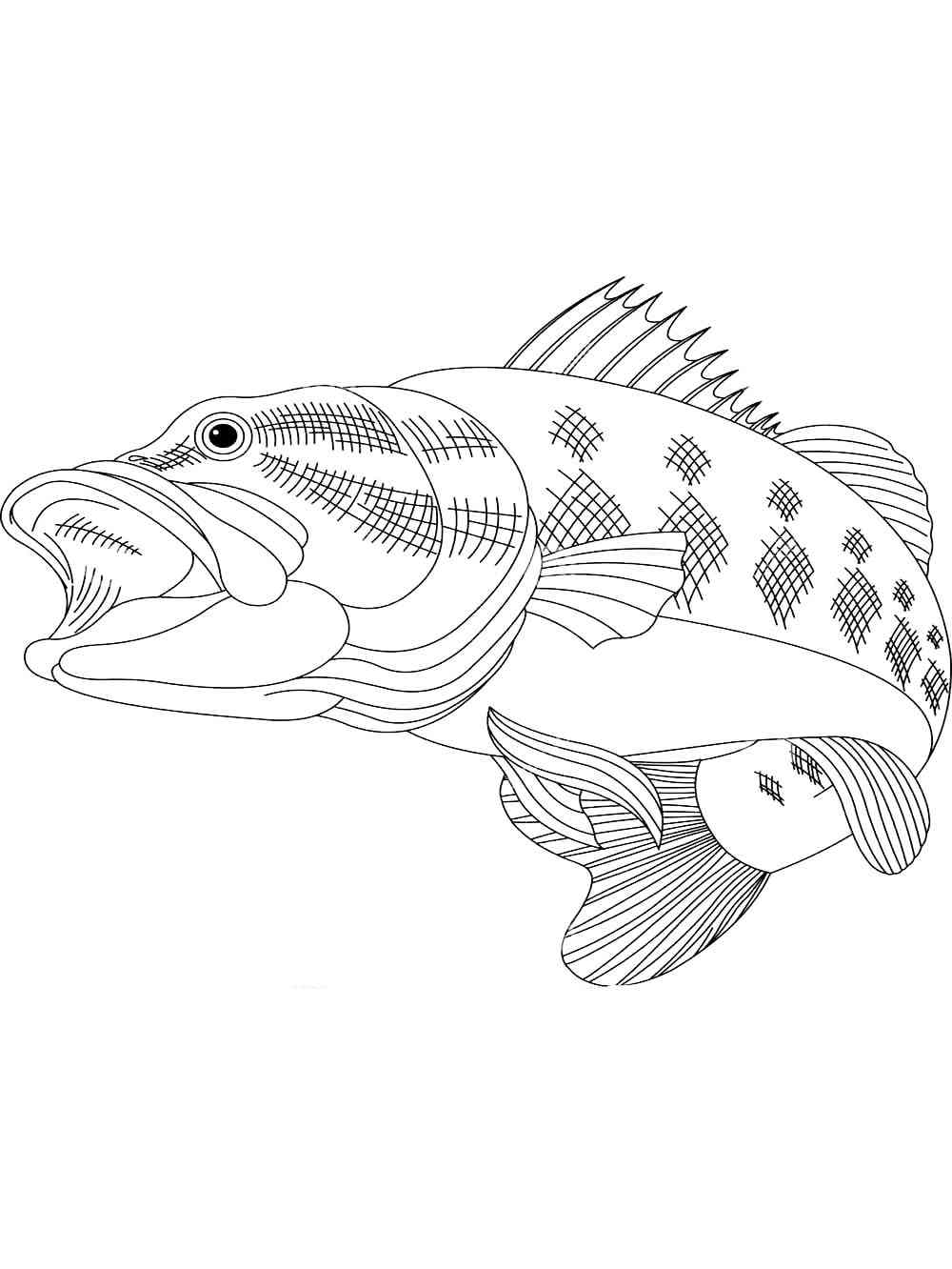 Bass Fish 8 coloring page