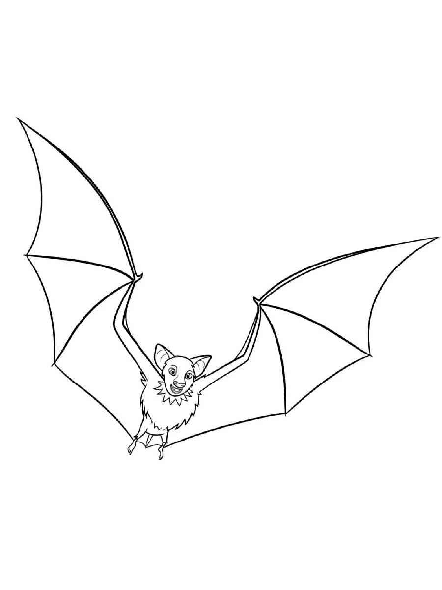 Mexican Free Tailed Bat coloring page