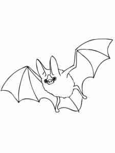 Little Brown Bat coloring page