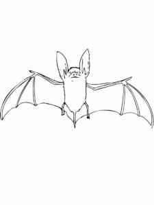 Common Bat coloring page
