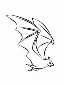 Common Night Bat coloring page