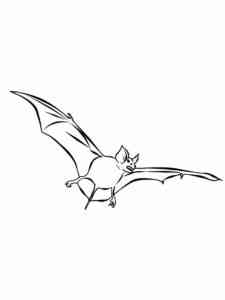 Flying Brown Bat coloring page
