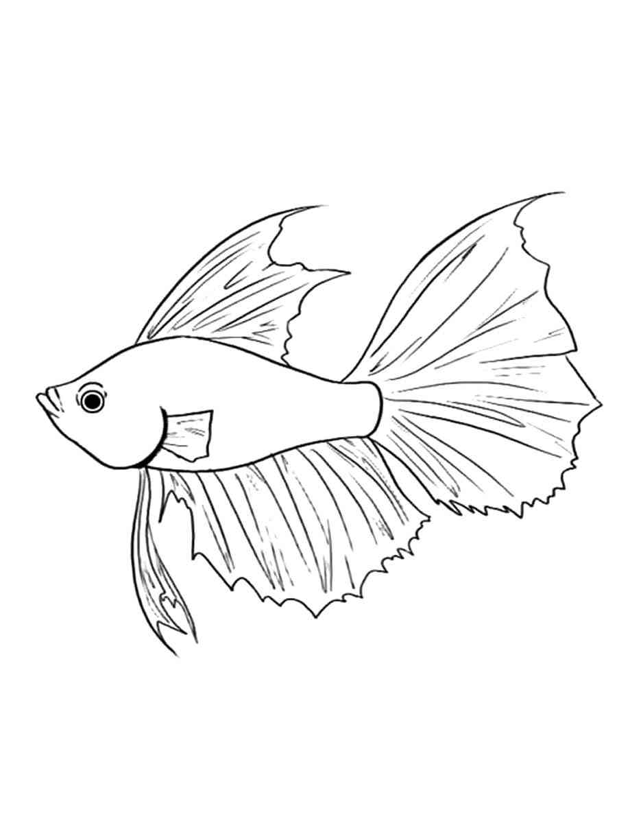Betta Fish 10 coloring page