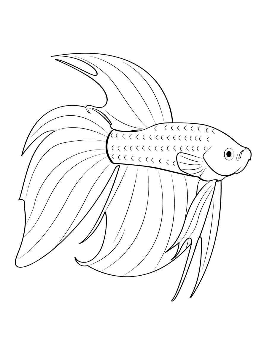 Easy Betta Fish coloring page