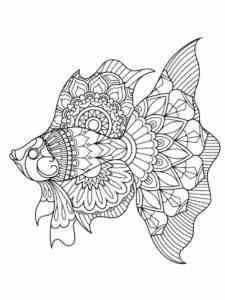 Beauty Betta Fish Antistress coloring page
