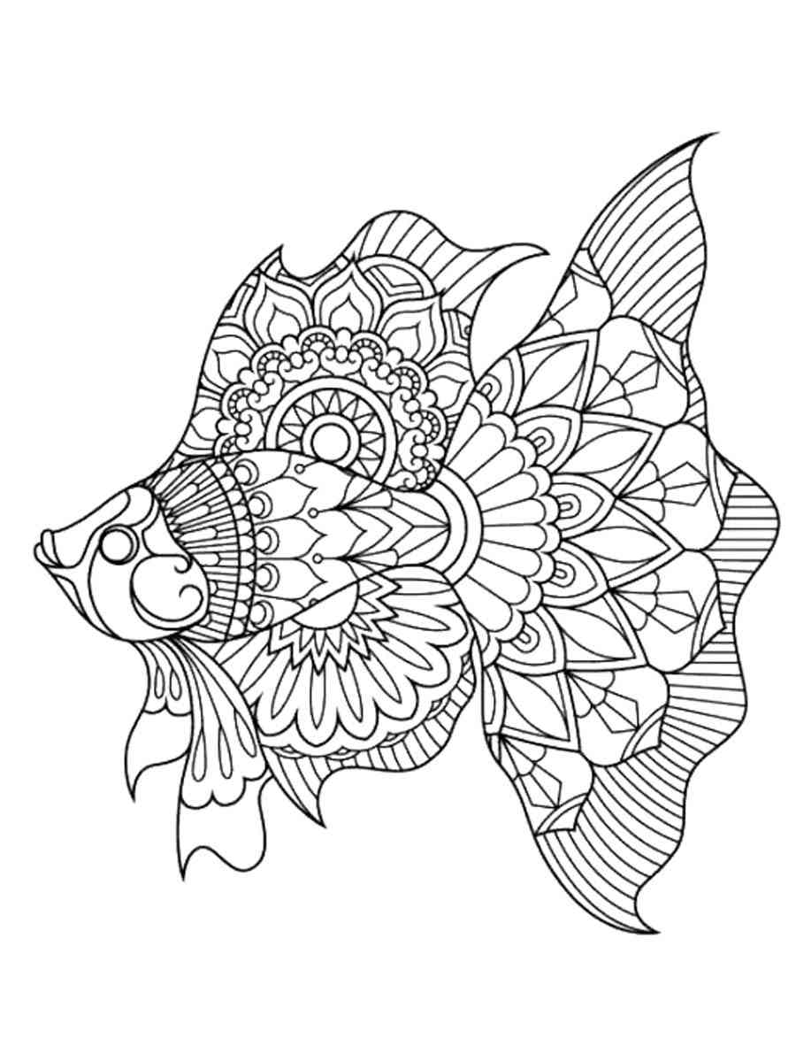 Betta Fish 14 coloring page