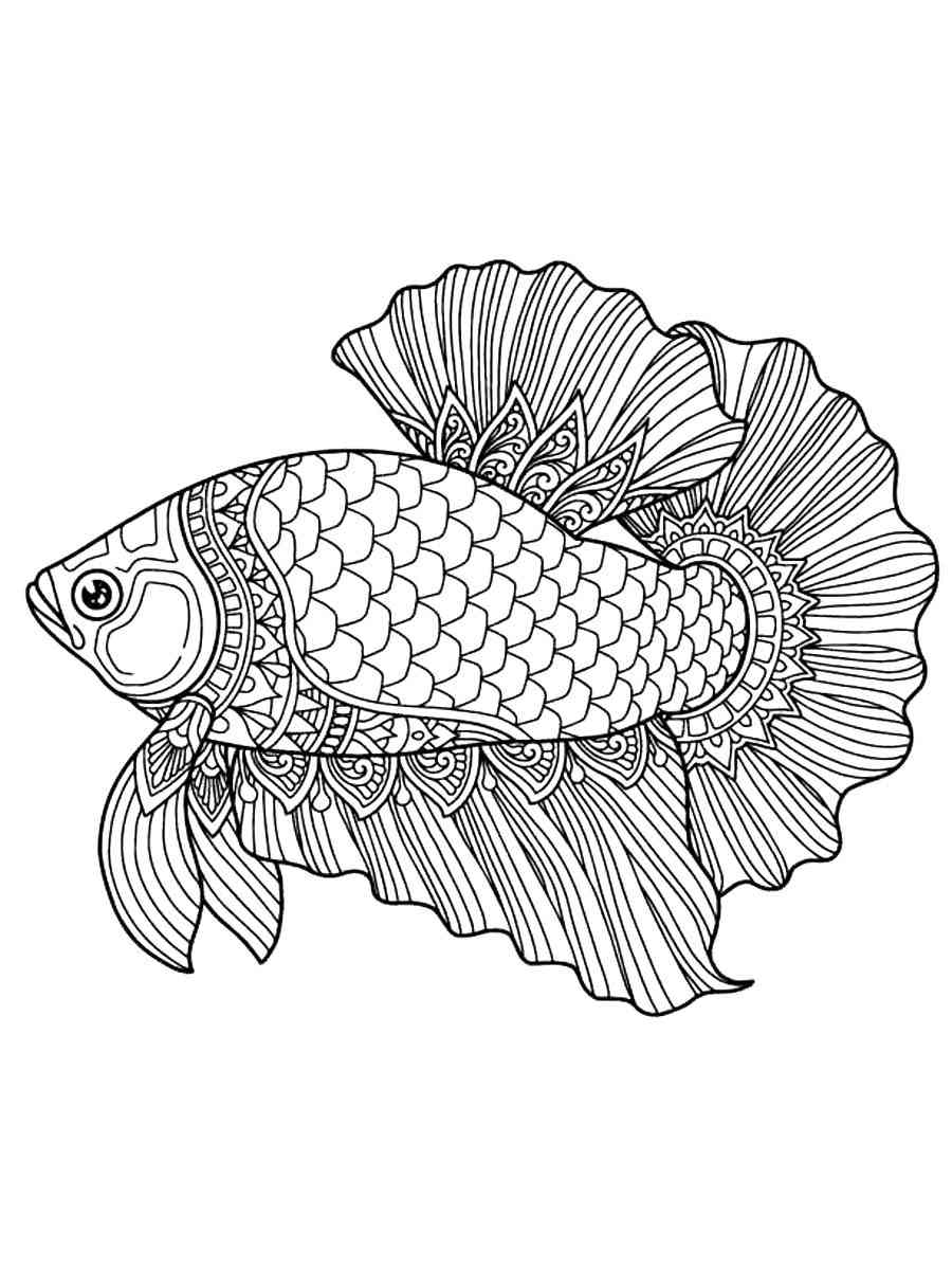 Betta Fish Antistress coloring page