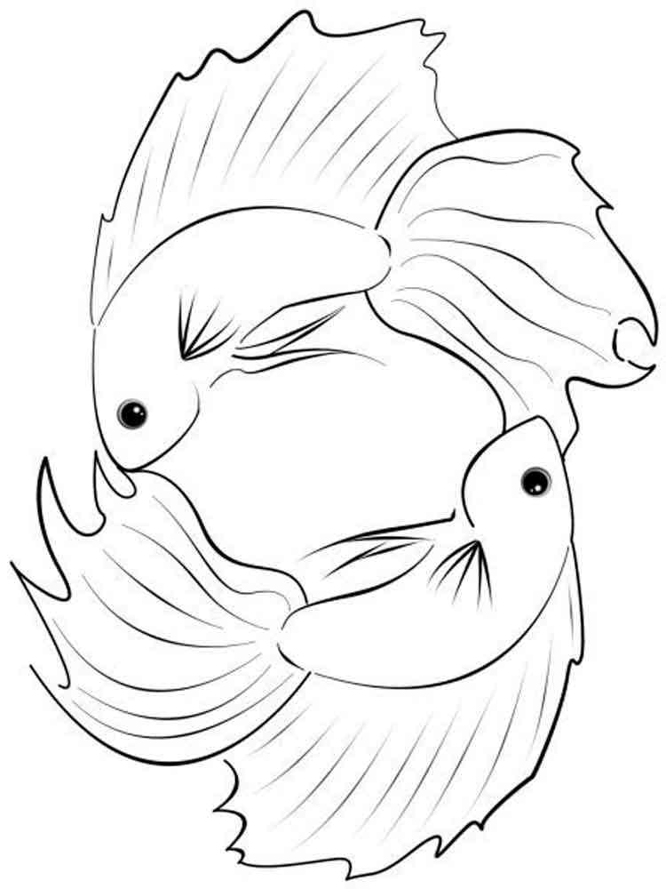 Easy two Betta Fish coloring page