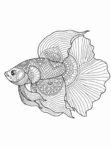 Betta Fish 7 coloring page