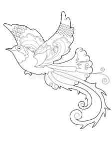 Bird of Paradise 12 coloring page
