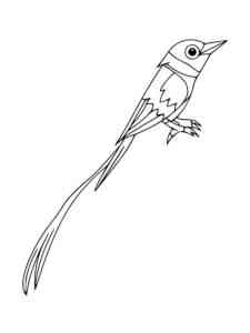 Bird of Paradise 13 coloring page
