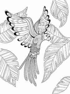 Bird of Paradise 15 coloring page