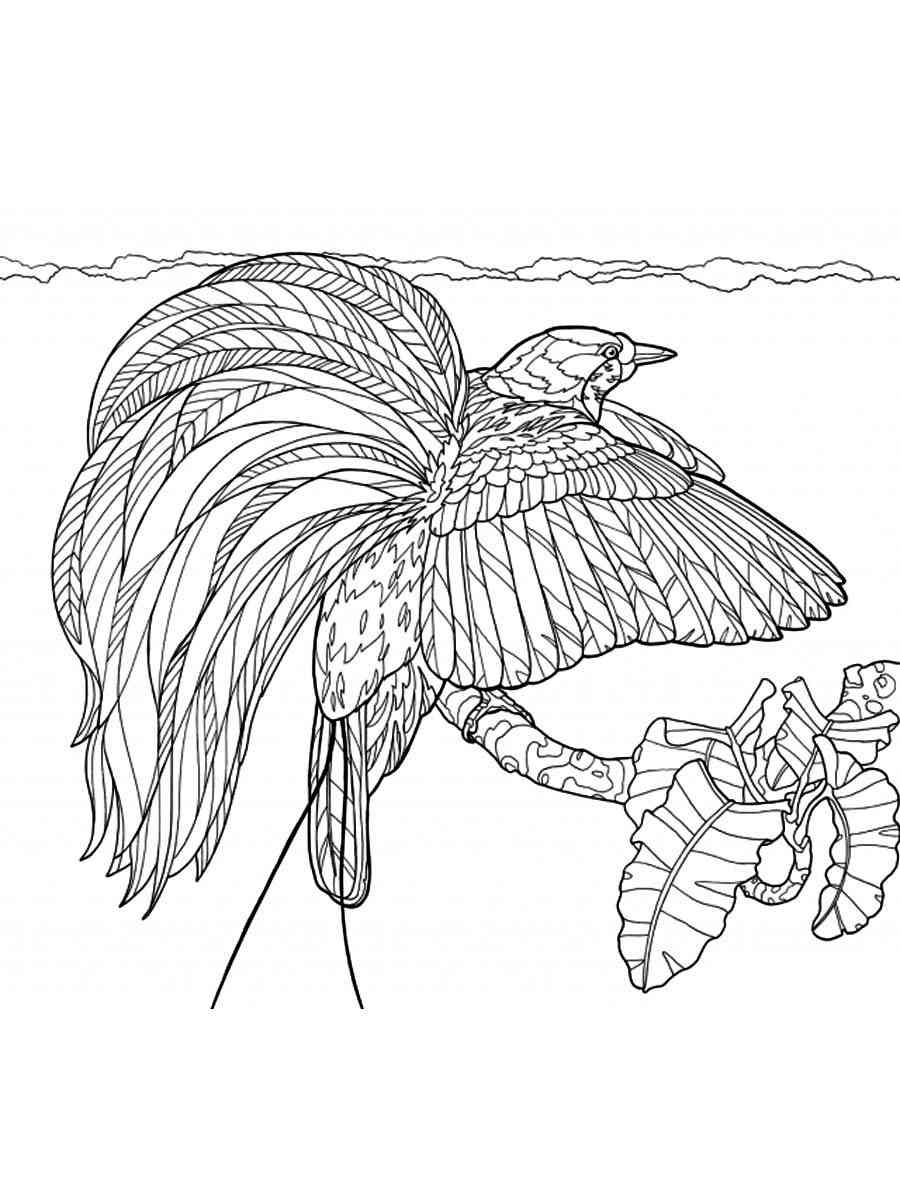 Awesome Bird of Paradise coloring page