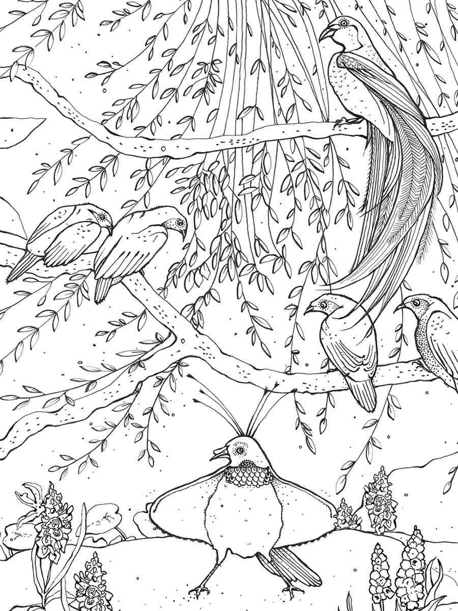 Birds of Paradise in the forest coloring page