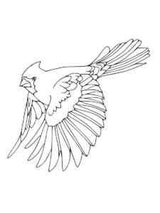 Flying Bird of Paradise coloring page