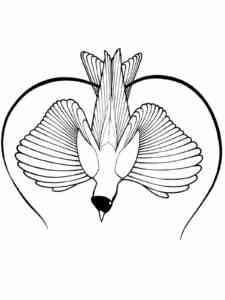 Simple Bird of Paradise coloring page
