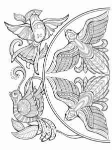 Bird of Paradise 4 coloring page