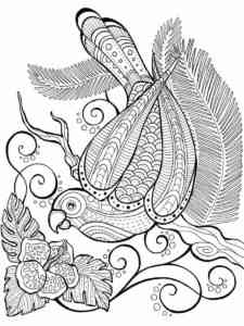 Lovely Bird of Paradise coloring page