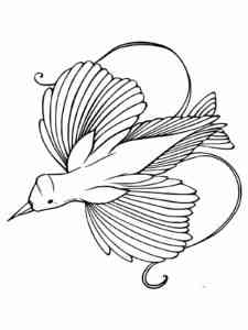 Red Bird of Paradise coloring page