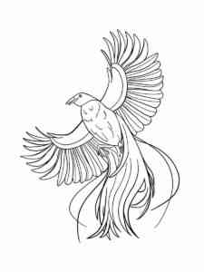 Greater Bird of Paradise coloring page