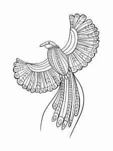 Bird of Paradise 9 coloring page