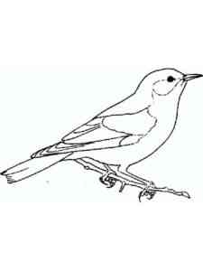 Bluebird on Branch coloring page