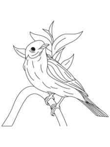 Bluebird 12 coloring page