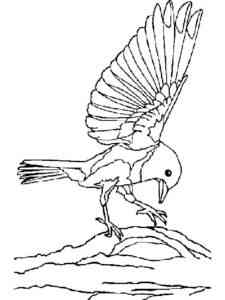 Bluebird spread its wings coloring page
