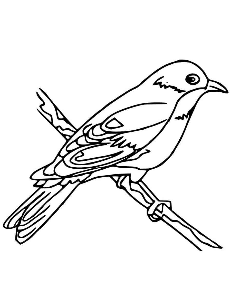 Easy Bluebird coloring page