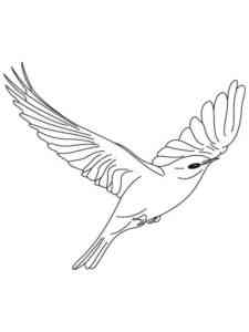 Bluebird 6 coloring page