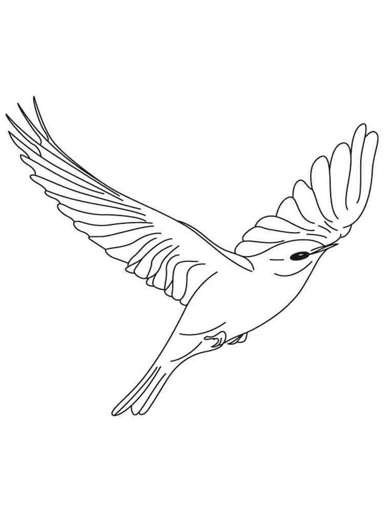 Flying Bluebird coloring page