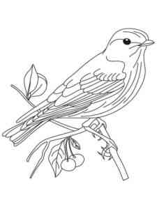 Bluebird 7 coloring page