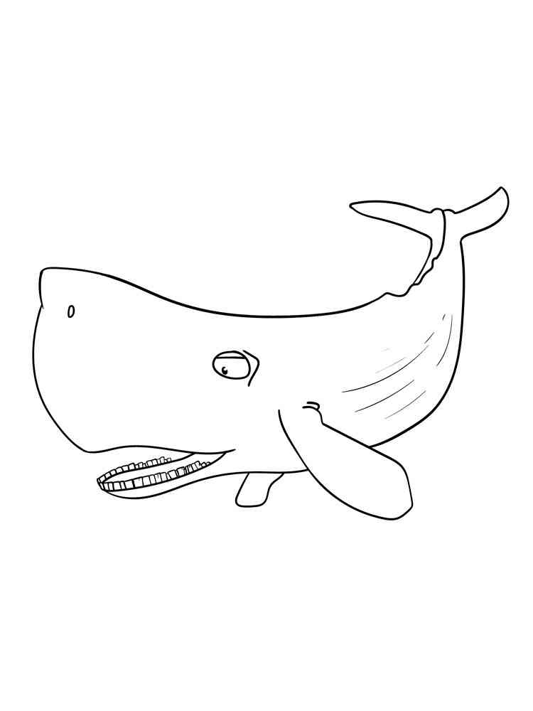 Cachalot 11 coloring page