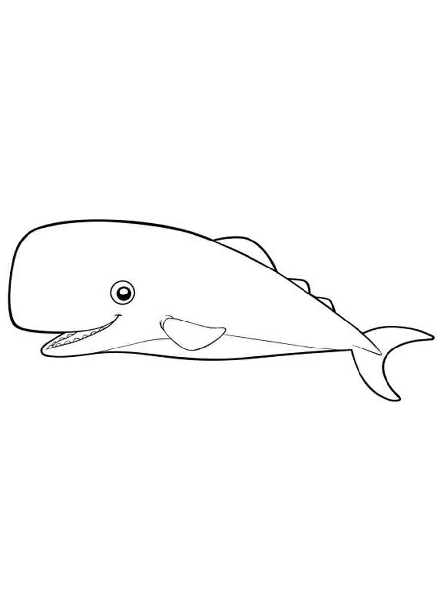 Funny Cachalot coloring page