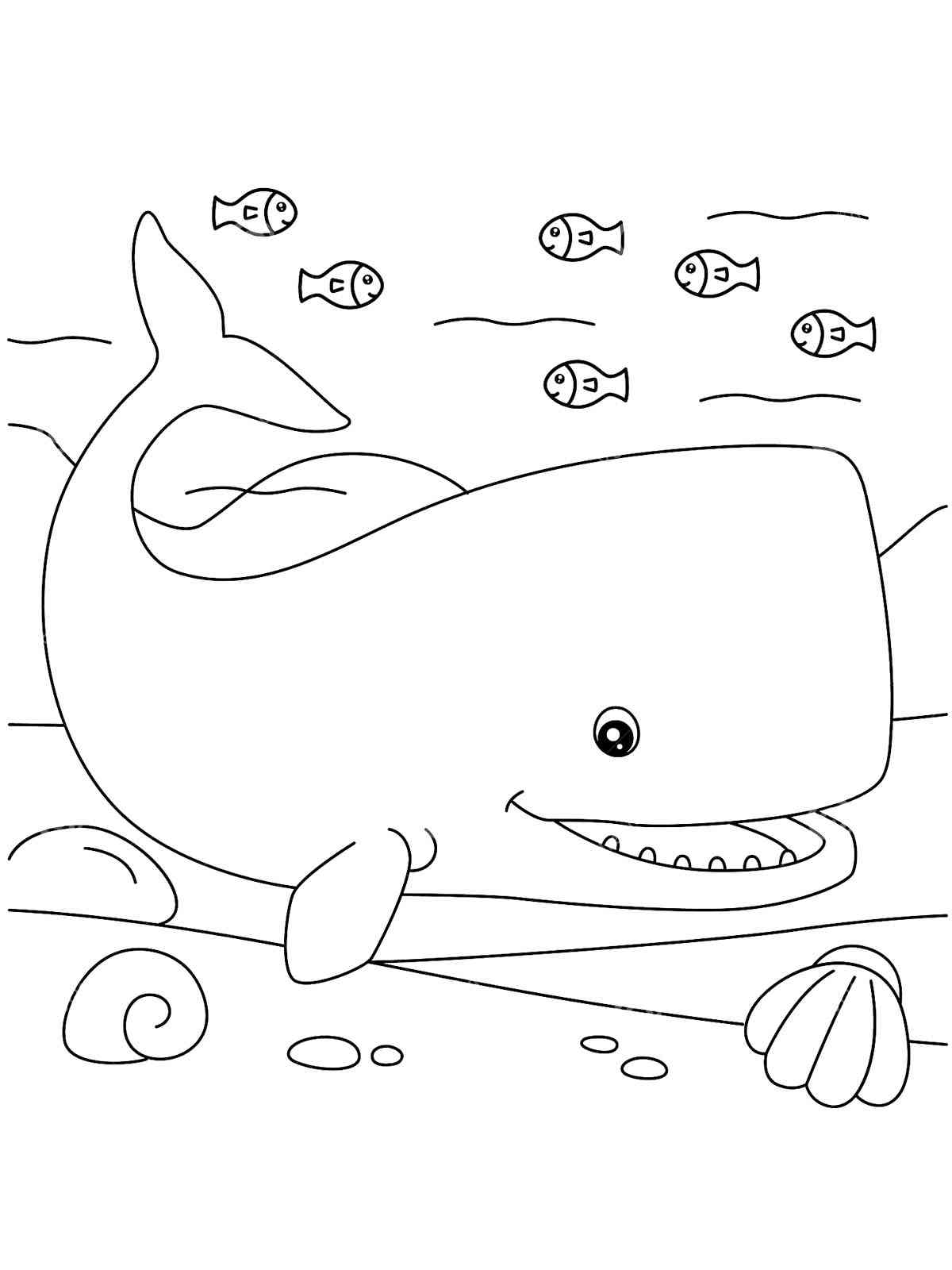 Cachalot underwater coloring page