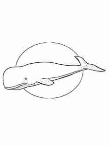Simple Sperm Whale coloring page
