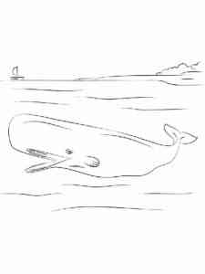 Cachalot in the ocean coloring page