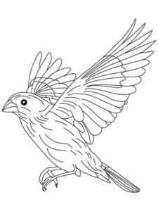 Flying Canary coloring page