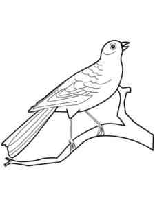 Canary 14 coloring page